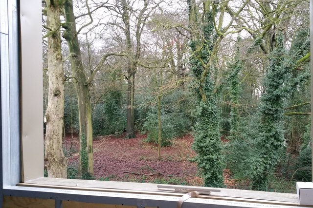 The view out of a top floor window towards the new public park land.