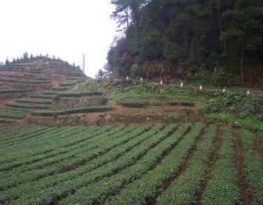 Picture20.jpg