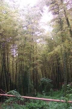 Picture21.jpg