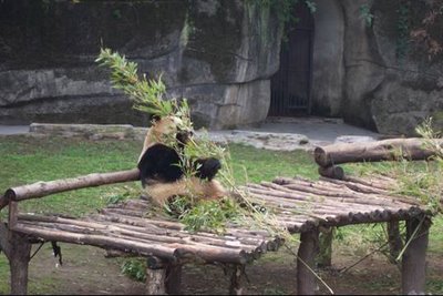 Picture6.jpg