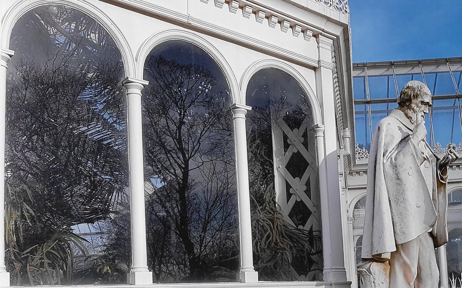 Entry by Lucy Hinton for the 2017 Rotary Club Photography Competition on the theme of 'Reflection'.