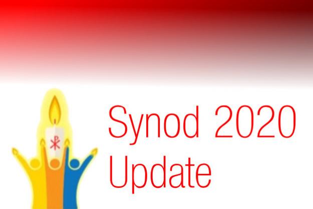 Synod 2020 Update
