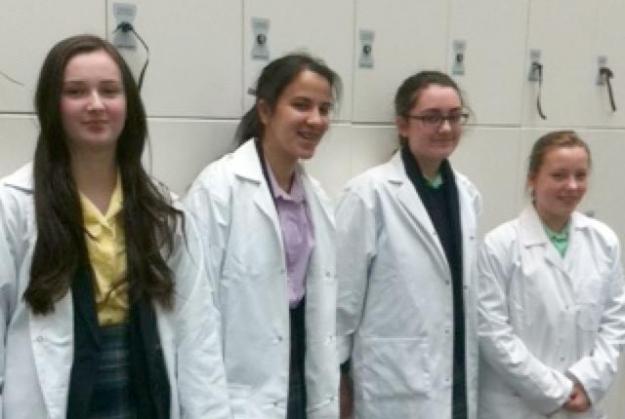 Young Scientists Aim for 'Top of the Bench'