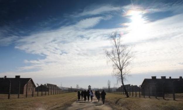 Visit to Auschwitz-Birkenau