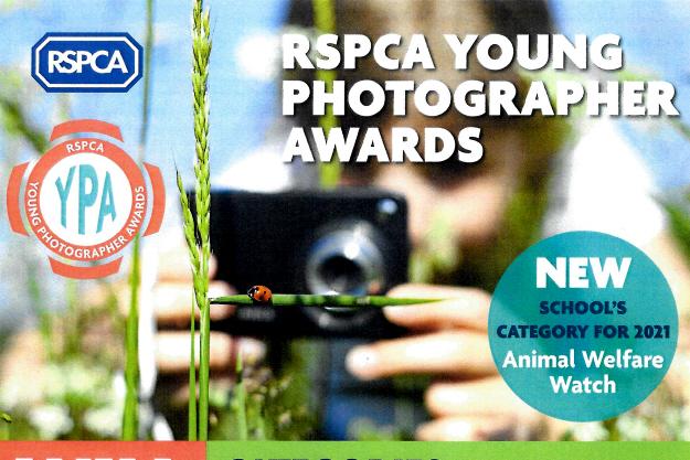 RSPCA Young Photographer Competition